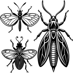 set of insects collections illustrations vector art isolated white background