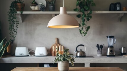 A modern kitchen with a pendant light, plants, and appliances, showcasing a cozy and stylish atmosphere.