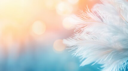 A detailed view of white feathers against a softly blurred background, capturing the delicate textures and warm hues of the environment