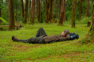 An adventurer was lying on the green grass in a beautiful and quiet pine forest area. Male travelers enjoy the serenity of the wilderness by lying down on the green grass in the pine forest