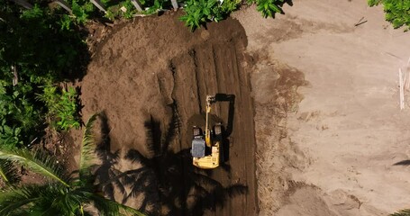 Excavator operating under palm trees, moving earth and leveling ground in Bali, Indonesia, drone top down tracking