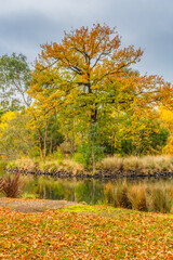 Castlemaine Botanical Gardens in late Autumn