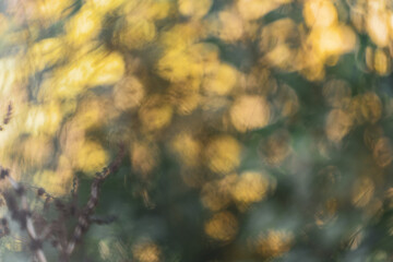 petites billes de bokeh artistique, réalisé avec les éléments de la nature et de la lumière, png transparent, ressource graphique dans les tons cuivrés et nuancé d'or de  toute beauté