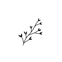 plant leaf branch silhouette