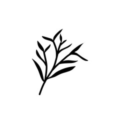 plant leaf branch silhouette