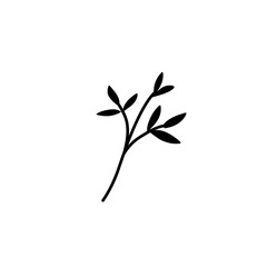 plant leaf branch silhouette