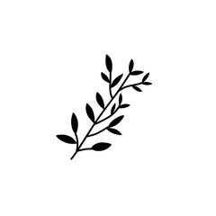 Fototapeta premium plant leaf branch silhouette