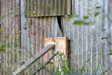 Corrugated Metal Wall with Natural Overgrowth in Dordogne France