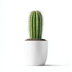 A tall green cactus in a simple white pot, showcasing a minimalist aesthetic with vibrant colors against a plain background.