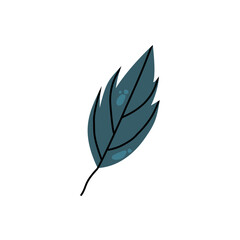 Autumn fall leaf isolated. Cute fall leaves simple naive style.