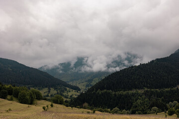 Misty forest covered mountains in the summer. Moody landscape