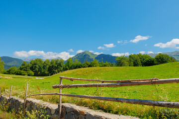 Landscape of the rural area with wooden fence and meadow