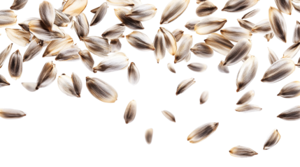 An engaging image of sunflower seeds cascading down, beautifully isolated to showcase their natural colors and shapes in a vibrant display