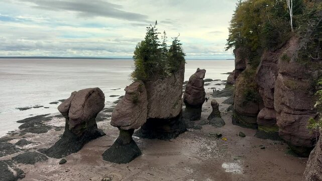 Hopewell Rocks Park in New Brunswick, on a cloudy day. Cloudy day, autumn, low tide in the park, panorama. National reserve of Canada. The most beautiful places in Canada and the USA.