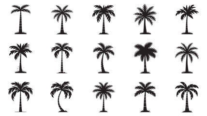 Fototapeta premium vector Plam tree design, plam tree silhouette