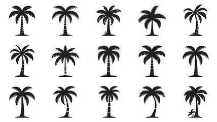 Obraz premium vector Plam tree design, plam tree silhouette