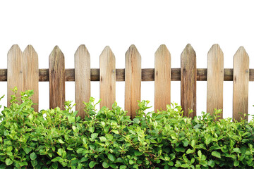 Naklejka premium A charming depiction of wooden fences adorned with lush shrubs, serving as beautiful garden decorations that enhance the natural beauty of the landscape