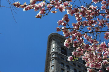 New York in spring 
