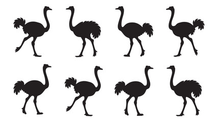Fototapeta premium silhouettes of ostriches on a white background