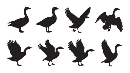 Obraz premium Black Duck Silhouettes vector illustration