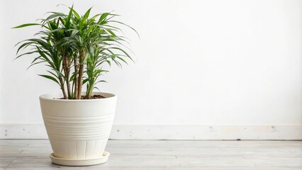 High-rise plant pot on plain white background, vertical gardening, decorative pot, minimalist style, indoor greenery, large planters