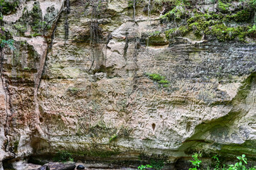 The sandstone cliffs of Hinni gorge, hinni kanjon, a 20 metre deep gorge with green trees and...
