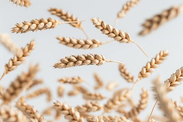 Wheat ears suspended in air against a clean white background  a stunning photography capture