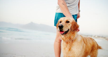 Beach, person and bonding with dog, vacation and relax with animal, summer and travel with owner....