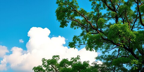 Obraz premium Pastel-colored clouds peeking through the branches of a lush green tree against a bright blue sky, pastelclouds,
