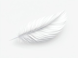 A single, white feather isolated on a white background.