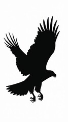 Obraz premium Silhouette of a Majestic Hawk in Flight on White Background