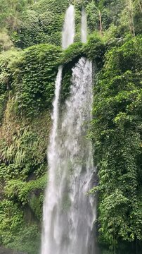 A beautiful waterfall in a tropical forest is indeed beautiful at Sendang Gile waterfall in Lombok, Indonesia. 
