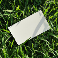 blank card in the grass