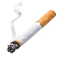 burning smoking cigarette butt on transparent background	