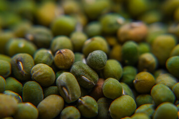 The mung bean (Vigna radiata), alternatively known as the moong bean, green gram, or mung, is a plant species in the legume family