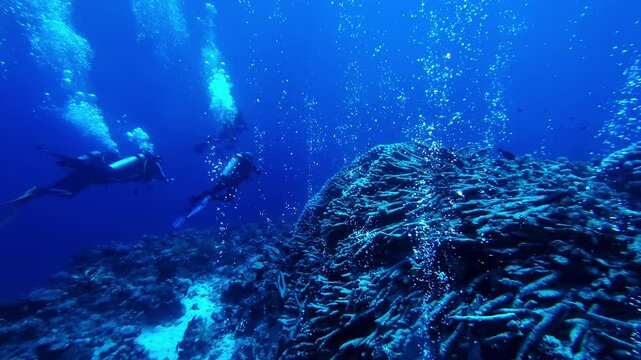 Recreational scuba diving in Dahab&acute;s famous Blue Hole along beautiful coral reef, exploring the unique underwater world