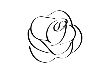 バラ　線画　イラスト　透過