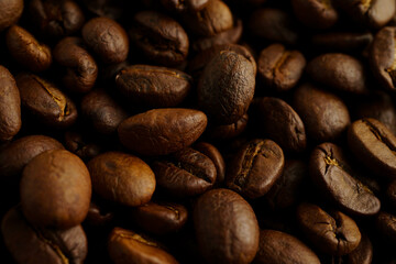 Coffee bean for drink in morning, nature food.
