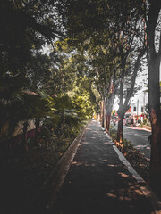 Pedestrian-only sidewalks 