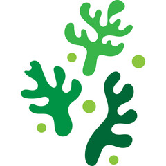 Abstract Coral Shape