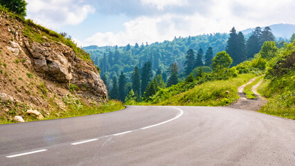 Curved road through green mountains in bright daylight