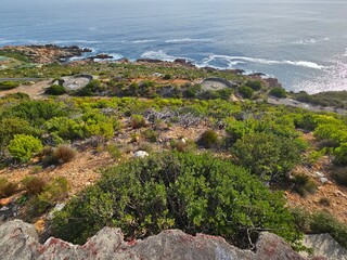 Ocean View