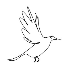 Fly Bird Graphic Design Decoration Vector Line Art