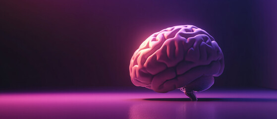 3D Render of Human Brain Illuminated with Purple and Pink Neon Lights