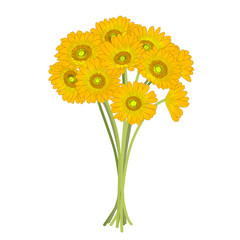 ガーベラの花束