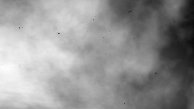 煙が漂い塵が舞う動画 | Abstract Black and White Smoke with Floating Particles