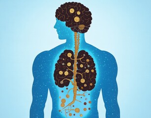 Human Brain and Torso Connection Illustration