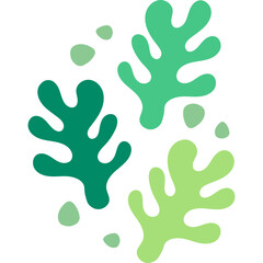 Abstract Coral Shape