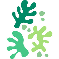 Abstract Coral Shape