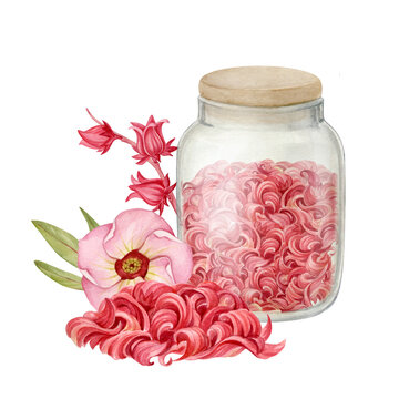 watercolor jar hibiscus flowers and buds clip art preview